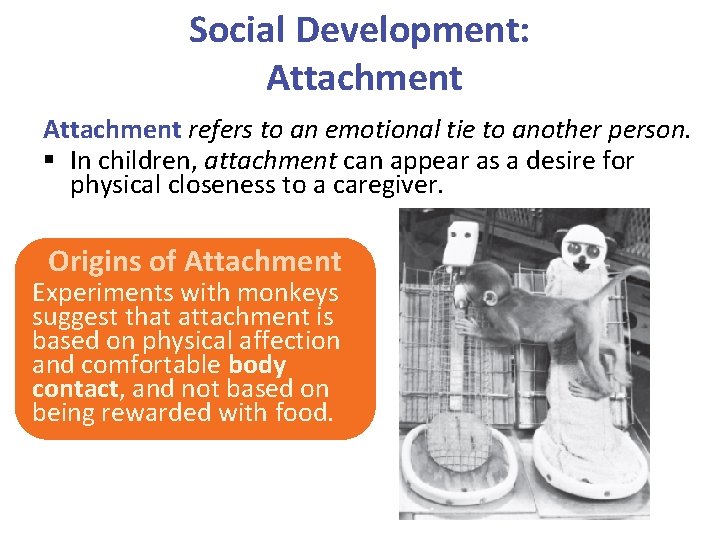 Social Development: Attachment refers to an emotional tie to another person. § In children,