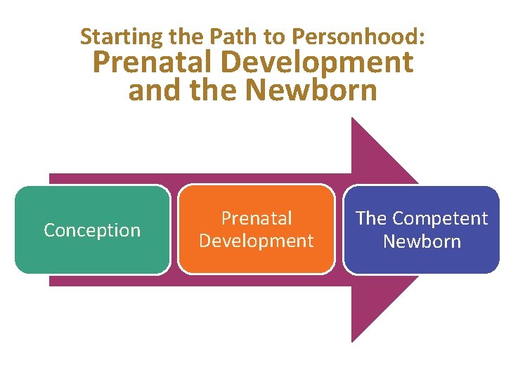 Starting the Path to Personhood: Prenatal Development and the Newborn Conception Prenatal Development The