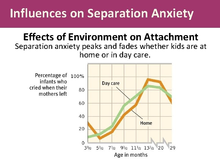 Influences on Separation Anxiety Effects of Environment on Attachment Separation anxiety peaks and fades