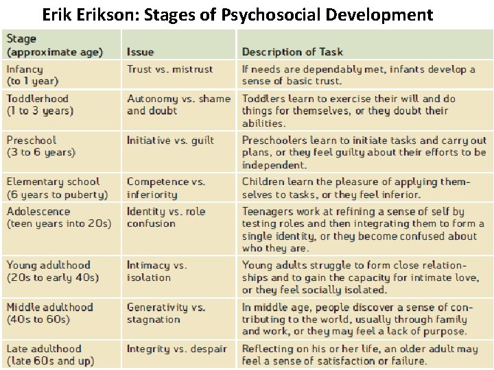 Erikson: Stages of Psychosocial Development 