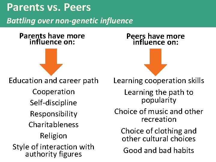 Parents vs. Peers Battling over non-genetic influence Parents have more influence on: Education and