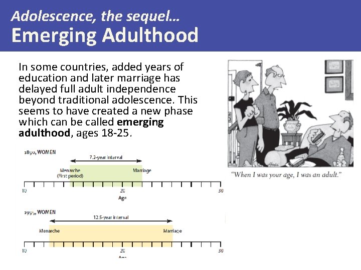 Adolescence, the sequel… Emerging Adulthood In some countries, added years of education and later