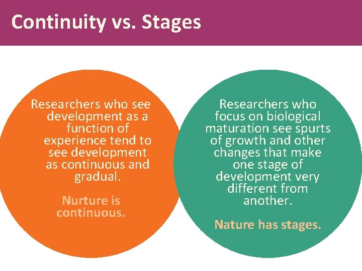 Continuity vs. Stages Researchers who see development as a function of experience tend to