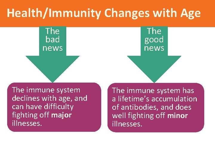 Health/Immunity Changes with Age The bad news The immune system declines with age, and