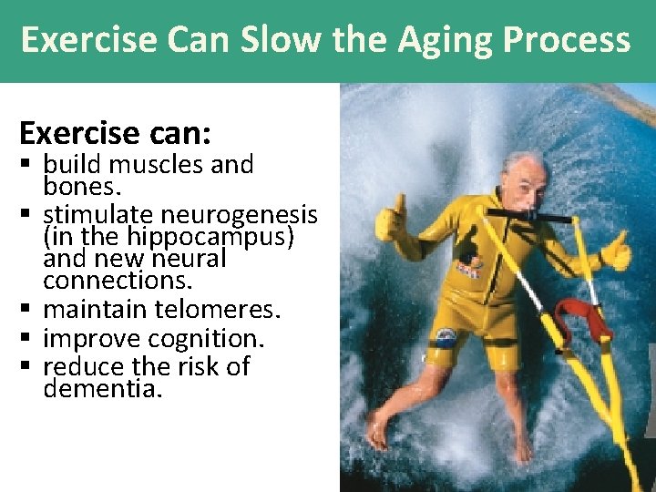 Exercise Can Slow the Aging Process Exercise can: § build muscles and bones. §