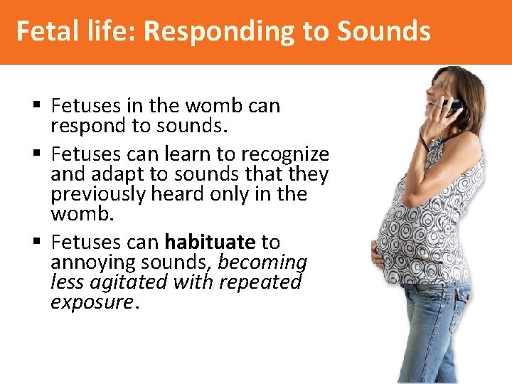 Fetal life: Responding to Sounds § Fetuses in the womb can respond to sounds.