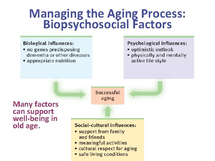 Managing the Aging Process: Biopsychosocial Factors Many factors can support well-being in old age.