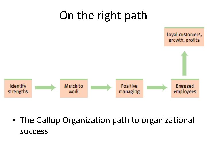 On the right path • The Gallup Organization path to organizational success 