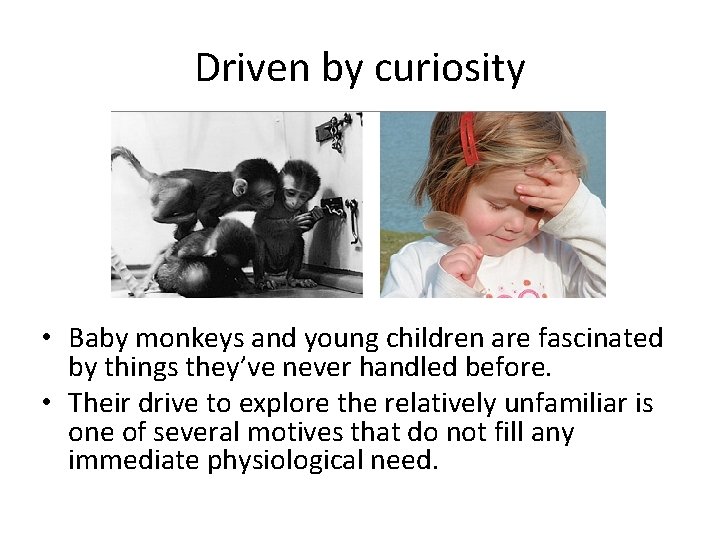 Driven by curiosity • Baby monkeys and young children are fascinated by things they’ve