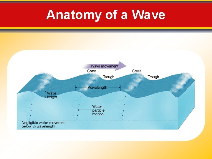 Anatomy of a Wave 