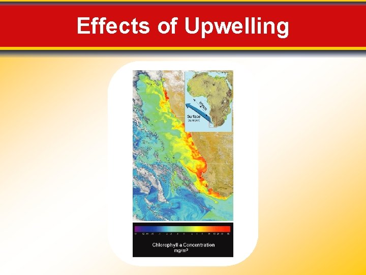Effects of Upwelling 