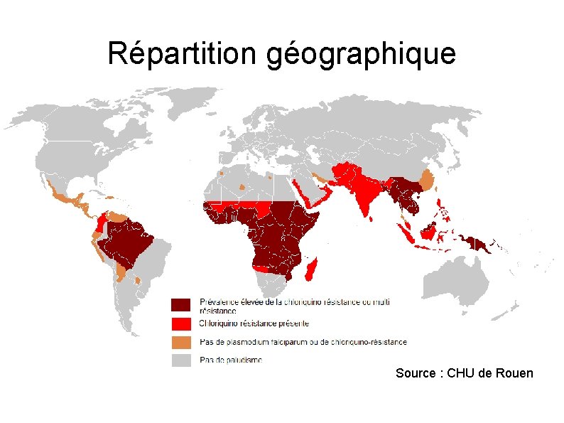Répartition géographique Source : CHU de Rouen 
