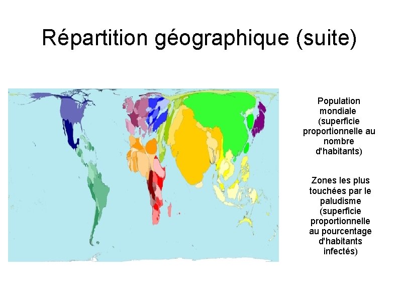 Répartition géographique (suite) Population mondiale (superficie proportionnelle au nombre d'habitants) Zones les plus touchées