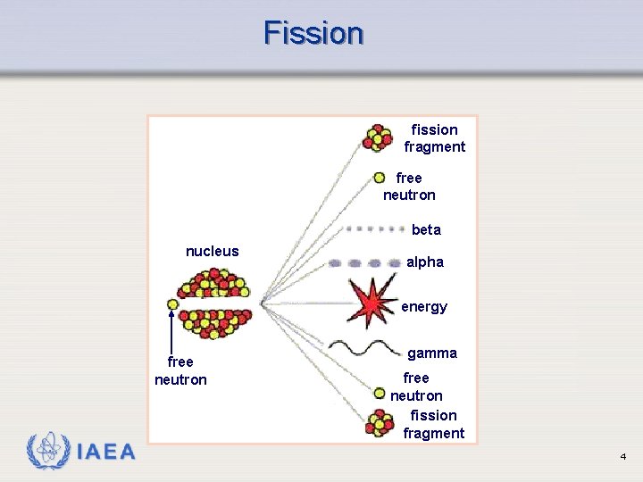 Fission fragment free neutron beta nucleus alpha energy free neutron IAEA gamma free neutron