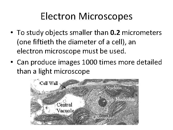 Electron Microscopes • To study objects smaller than 0. 2 micrometers (one fiftieth the