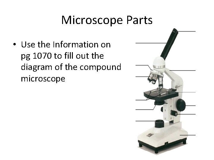 Microscope Parts • Use the Information on pg 1070 to fill out the diagram