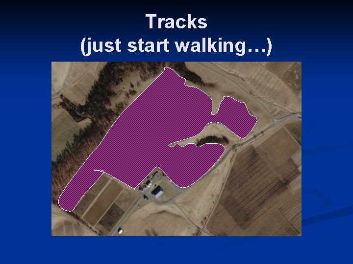 Tracks (just start walking…) 