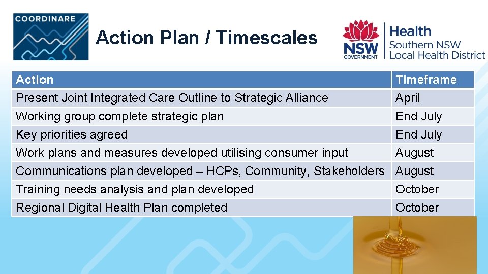 Action Plan / Timescales Action Present Joint Integrated Care Outline to Strategic Alliance Working