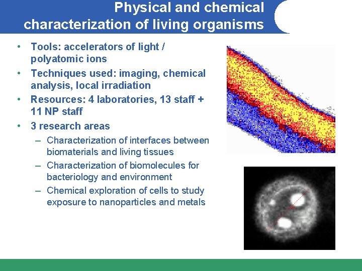 Physical and chemical characterization of living organisms • Tools: accelerators of light / polyatomic