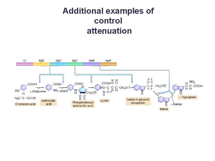 Additional examples of control attenuation 