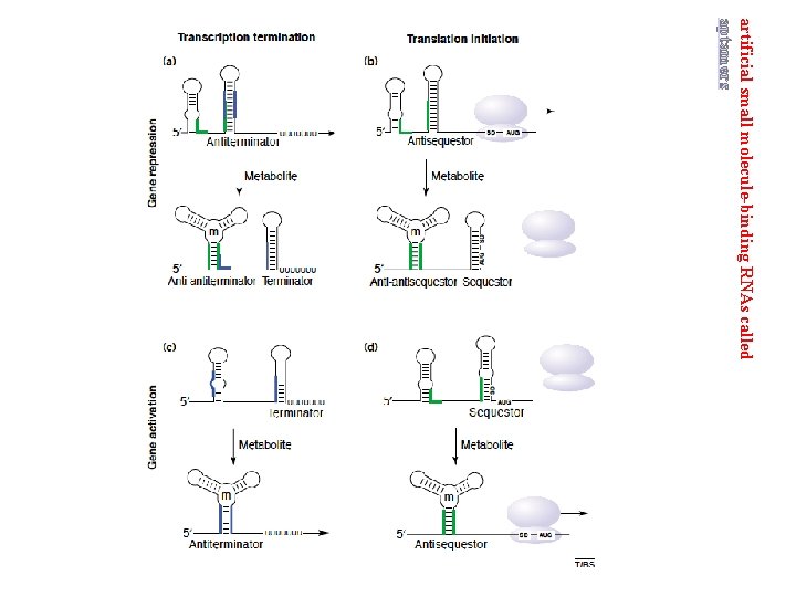 artificial small molecule-binding RNAs called aptamers 