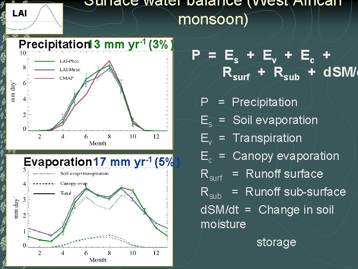 LAI Surface water balance (West African monsoon) Precipitation 13 mm yr-1 (3%) P =