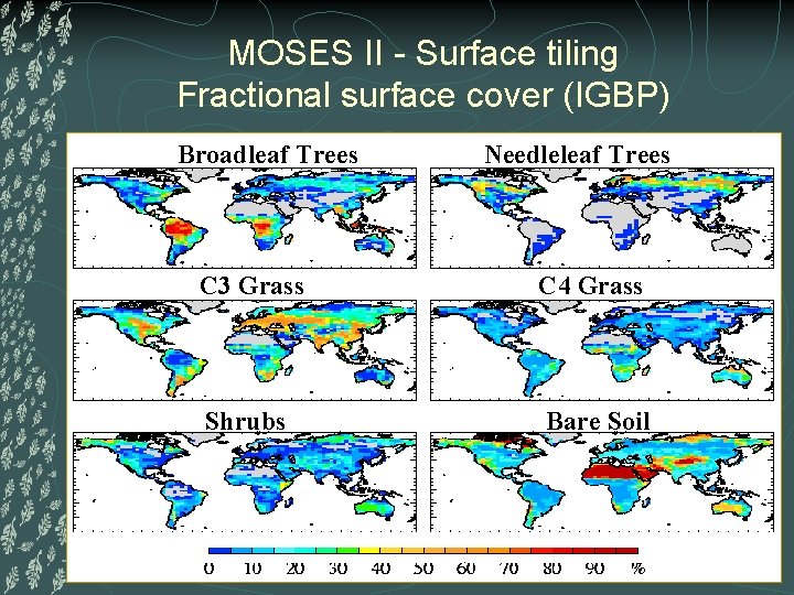 MOSES II - Surface tiling Fractional surface cover (IGBP) Broadleaf Trees Needleleaf Trees Need