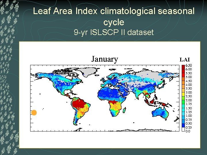 Leaf Area Index climatological seasonal cycle 9 -yr ISLSCP II dataset LAI 