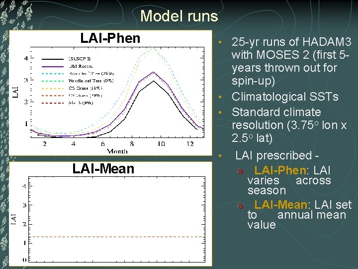 Model runs LAI-Phen LAI-Mean 25 -yr runs of HADAM 3 with MOSES 2 (first