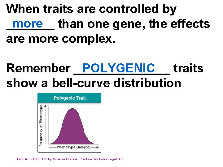 When traits are controlled by more than one gene, the effects _______ are more