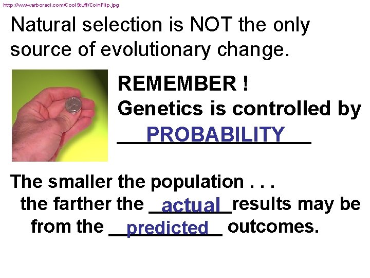 http: //www. arborsci. com/Cool. Stuff/Coin. Flip. jpg Natural selection is NOT the only source