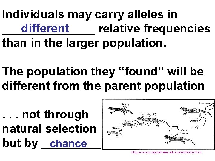 Individuals may carry alleles in different _______ relative frequencies than in the larger population.