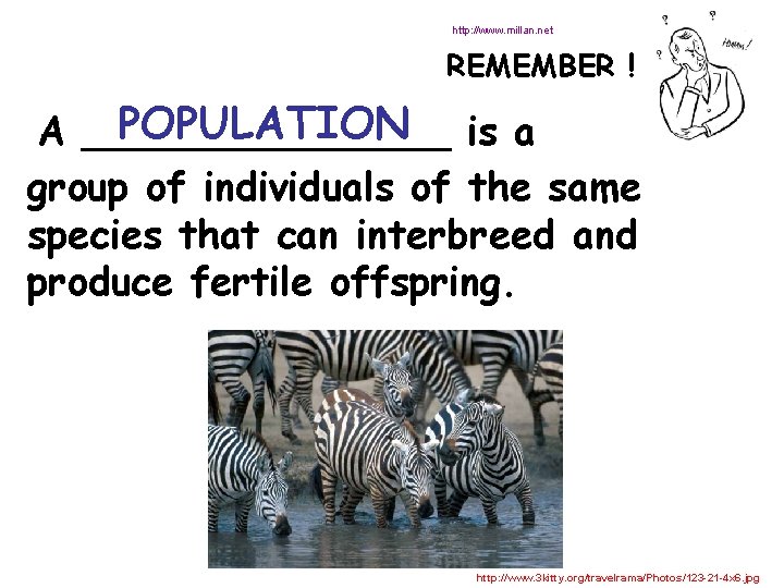 http: //www. millan. net REMEMBER ! POPULATION is a A ________ group of individuals