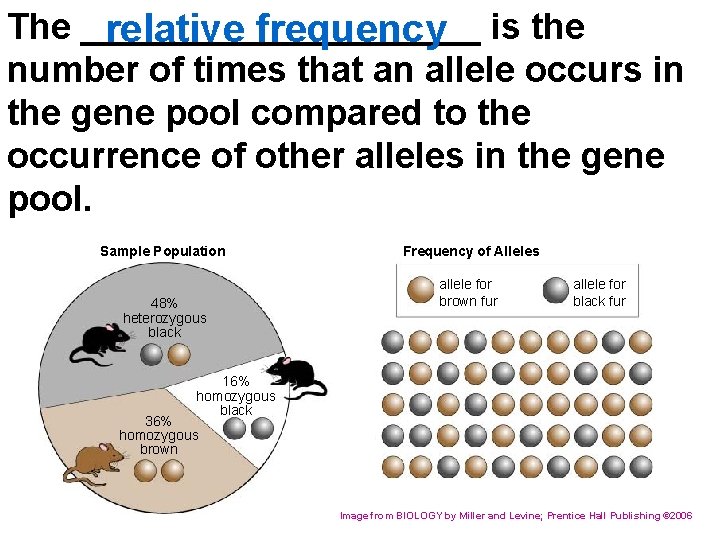 The __________ relative frequency is the number of times that an allele occurs in
