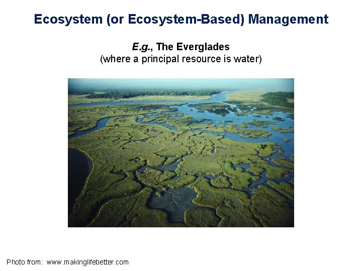 Ecosystem (or Ecosystem-Based) Management E. g. , The Everglades (where a principal resource is