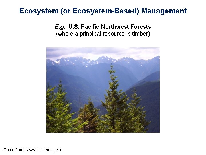 Ecosystem (or Ecosystem-Based) Management E. g. , U. S. Pacific Northwest Forests (where a