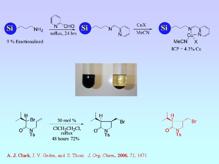 A. J. Clark, J. V. Geden, and S. Thom. J. Org. Chem. , 2006,