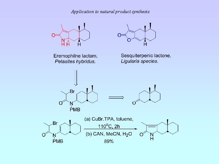 Application to natural product synthesis 