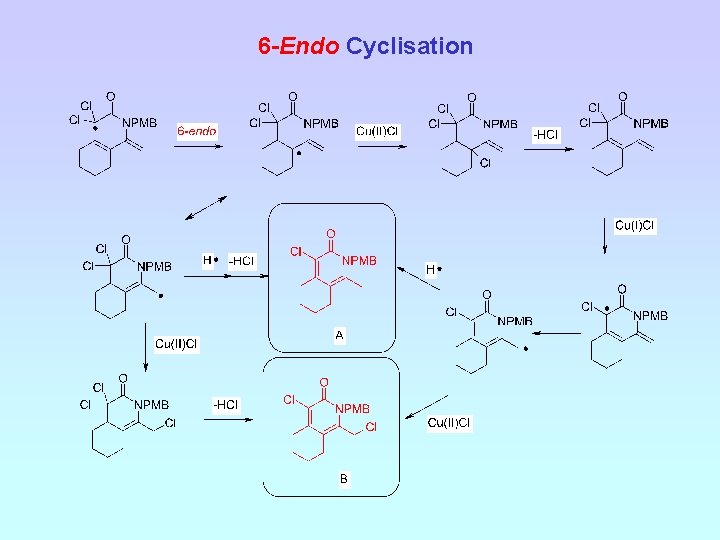 6 -Endo Cyclisation 