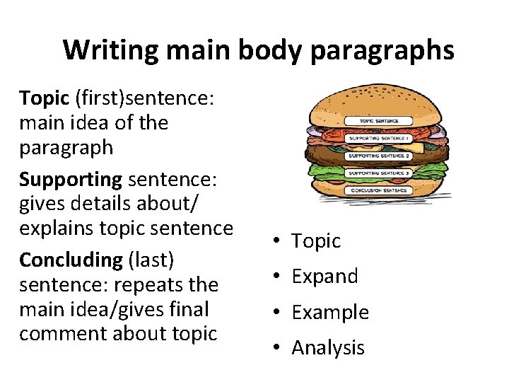 Writing main body paragraphs Topic (first)sentence: main idea of the paragraph Supporting sentence: gives