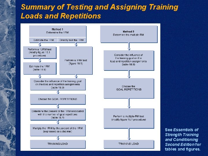 Summary of Testing and Assigning Training Loads and Repetitions See Essentials of Strength Training