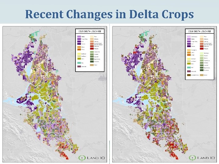 Recent Changes in Delta Crops 