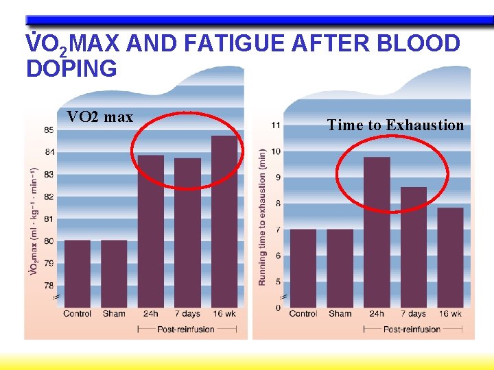 . VO 2 MAX AND FATIGUE AFTER BLOOD DOPING VO 2 max Time to