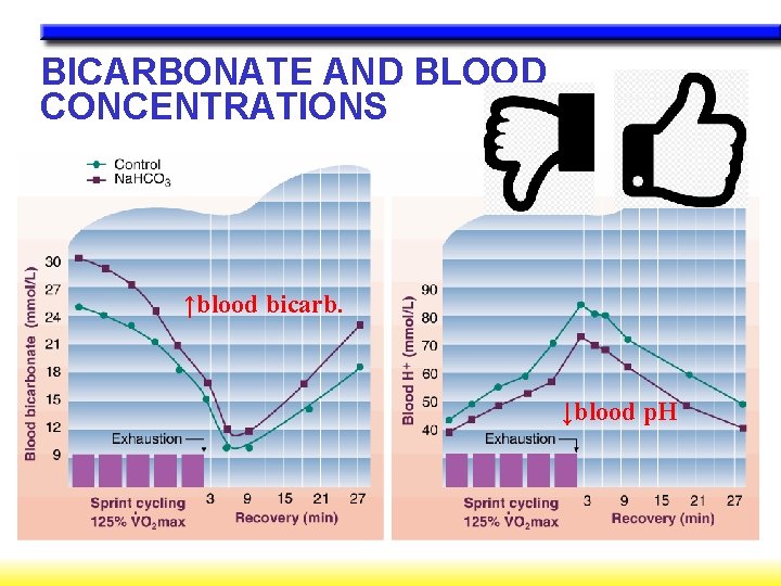 BICARBONATE AND BLOOD CONCENTRATIONS ↑blood bicarb. ↓blood p. H 