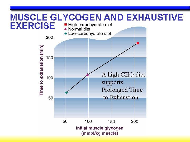 MUSCLE GLYCOGEN AND EXHAUSTIVE EXERCISE A high CHO diet supports Prolonged Time to Exhaustion