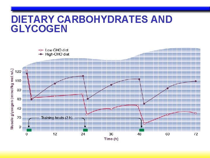 DIETARY CARBOHYDRATES AND GLYCOGEN 