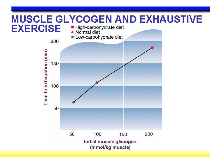 MUSCLE GLYCOGEN AND EXHAUSTIVE EXERCISE 