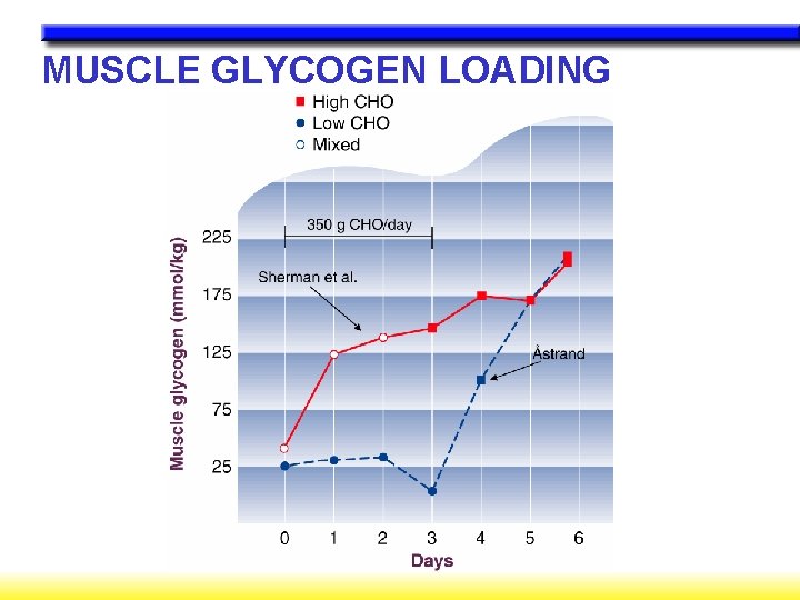 MUSCLE GLYCOGEN LOADING 