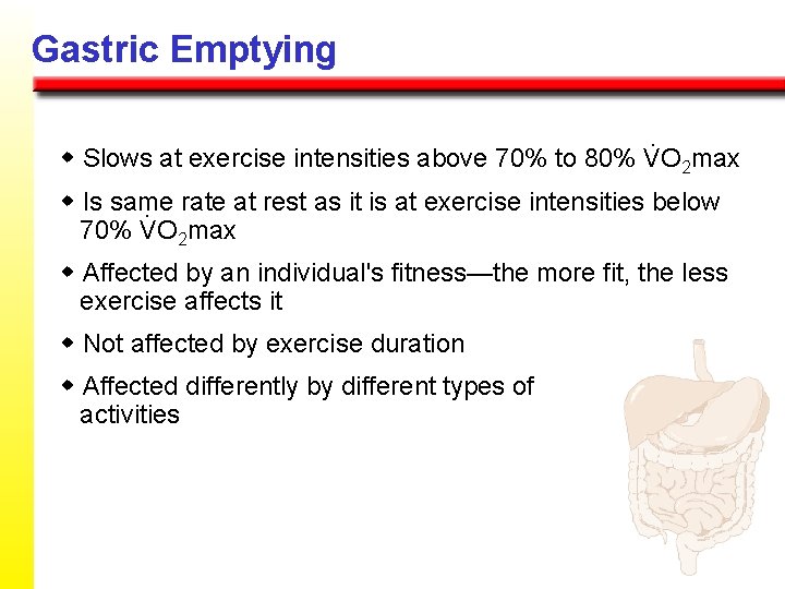 Gastric Emptying. w Slows at exercise intensities above 70% to 80% VO 2 max