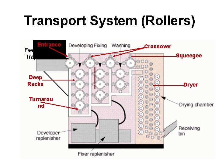 Transport System (Rollers) Feed Tray Entrance Deep Racks Turnarou nd Crossover Squeegee Dryer 